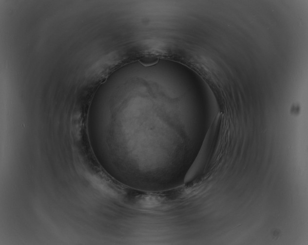 X0000093600223200710221554