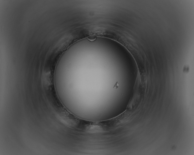 X0000093600224200710221554