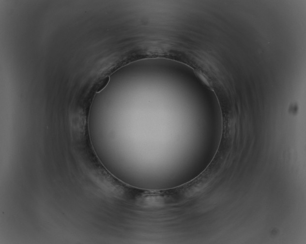 X0000093600228200710221553