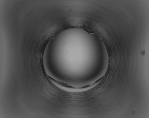 X0000093600229200710221553