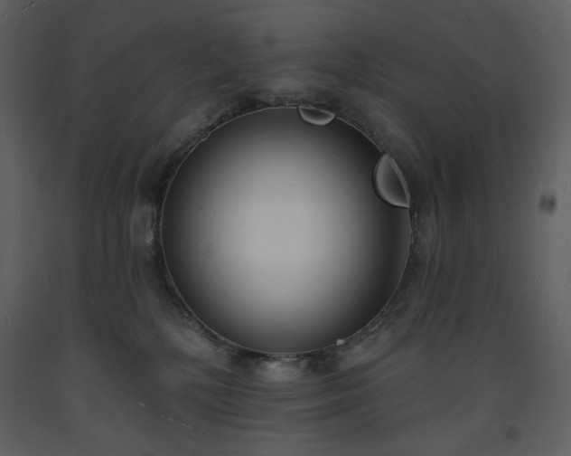 X0000093600232200710221553