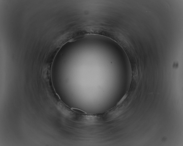 X0000093600233200710221553