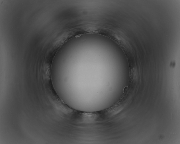 X0000093600234200710221553