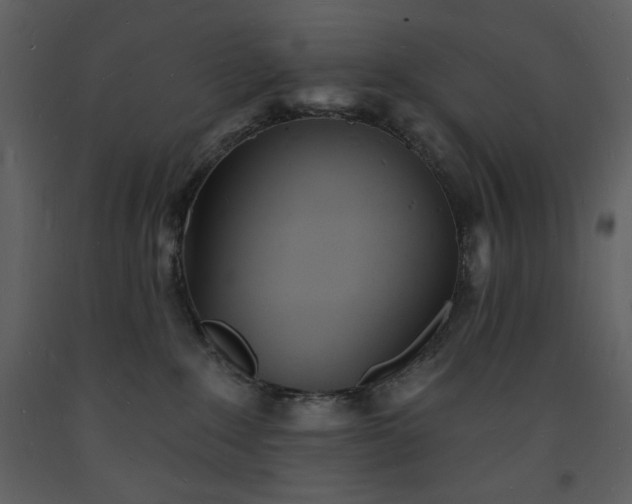 X0000093600235200710221553