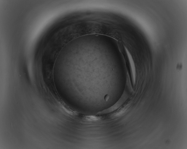 X0000093600239200710221553