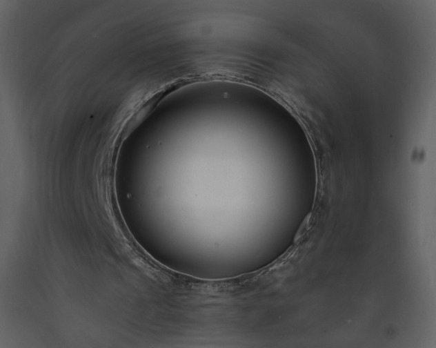 X0000093600241200710221553