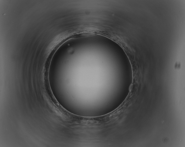 X0000093600242200710221553