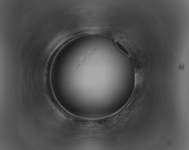 X0000093600243200710221553