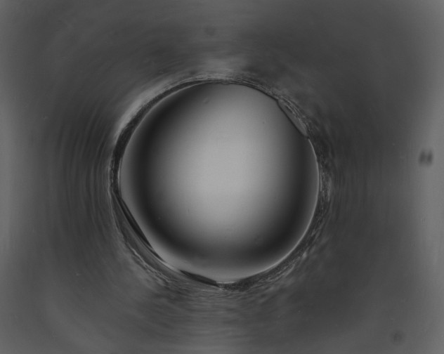 X0000093600244200710221553