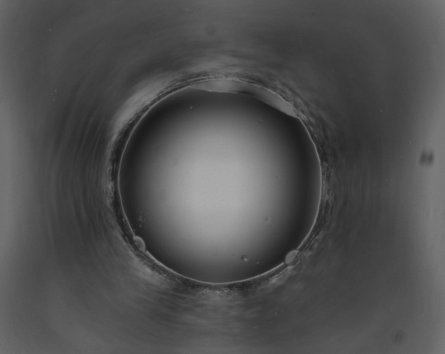 X0000093600245200710221553