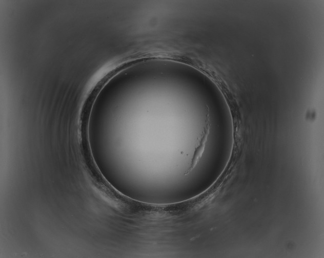 X0000093600246200710221553