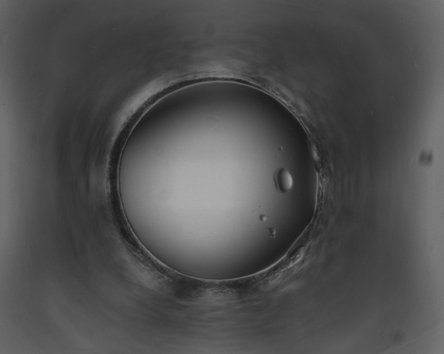 X0000093600248200710221553