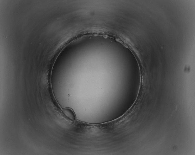 X0000093600249200710221553