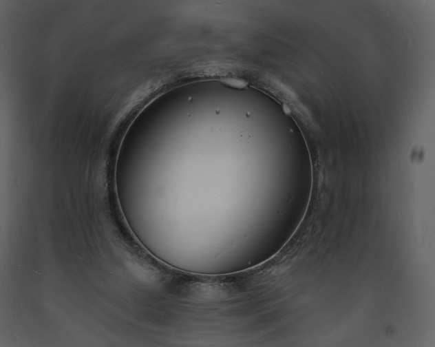 X0000093600250200710221553