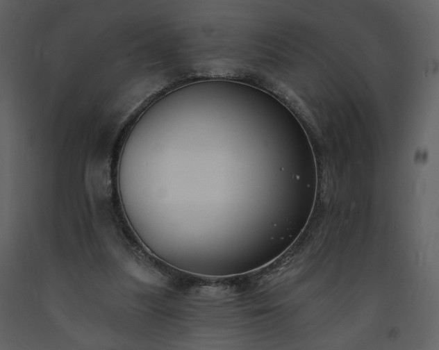 X0000093600251200710221553