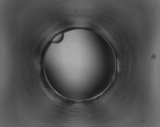 X0000093600252200710221553