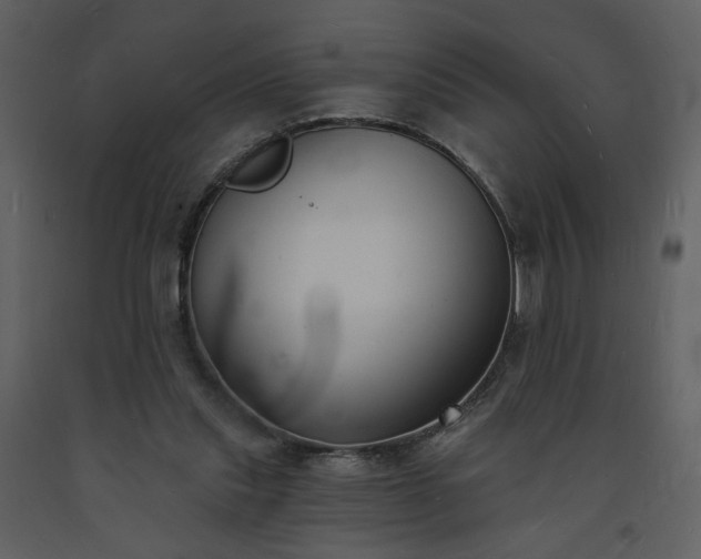 X0000093600253200710221553