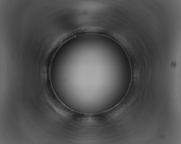 X0000093600254200710221553