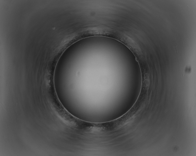 X0000093600255200710221553