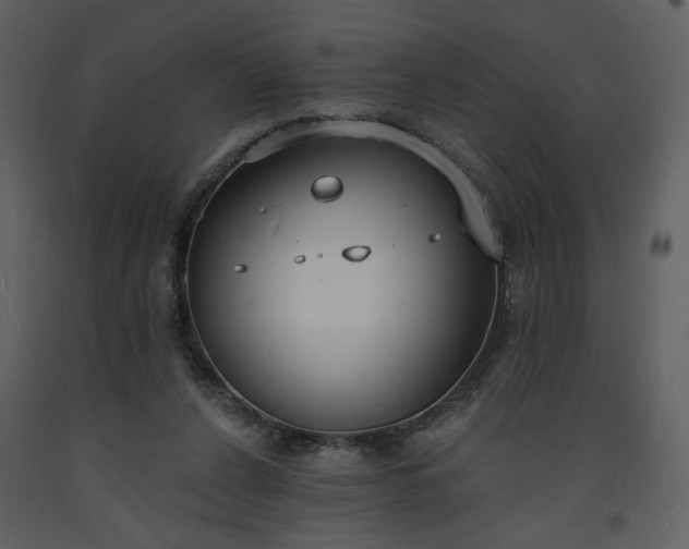 X0000093600256200710221553