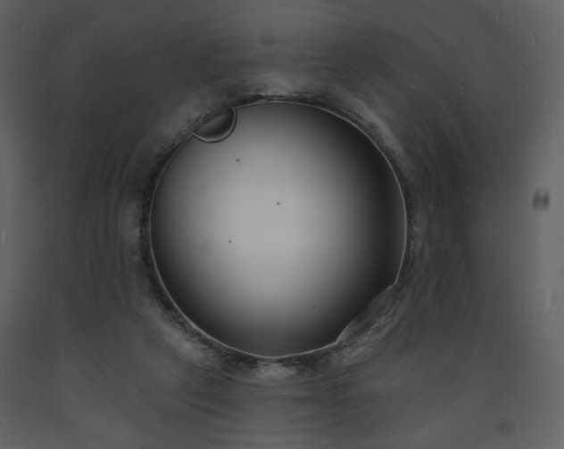 X0000093600257200710221553