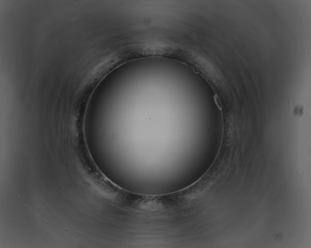 X0000093600258200710221553