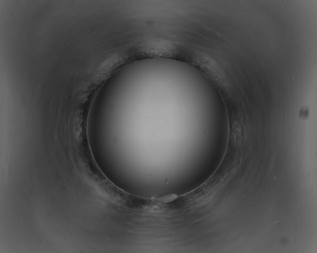 X0000093600259200710221553