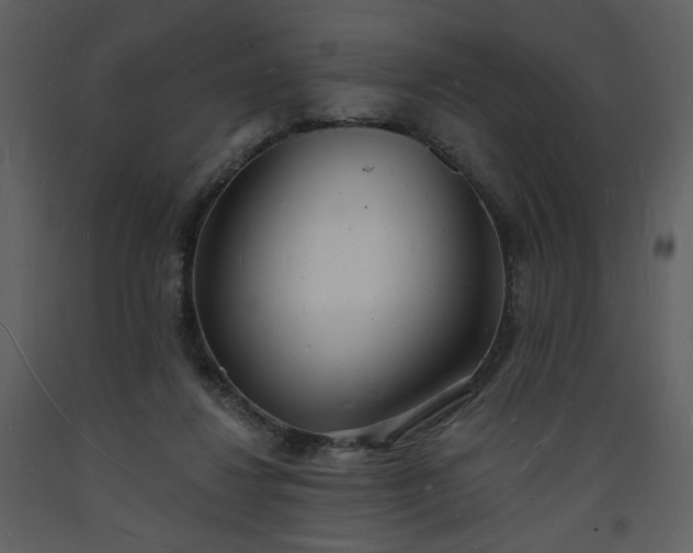 X0000093600260200710221553