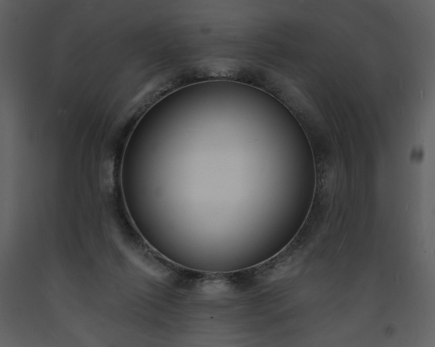 X0000093600262200710221553