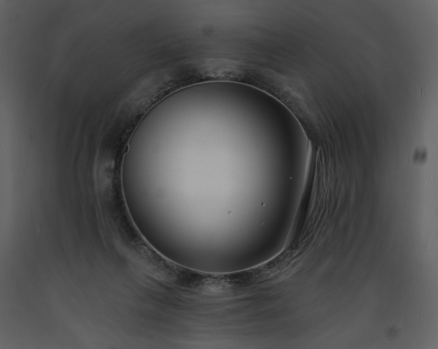 X0000093600263200710221553