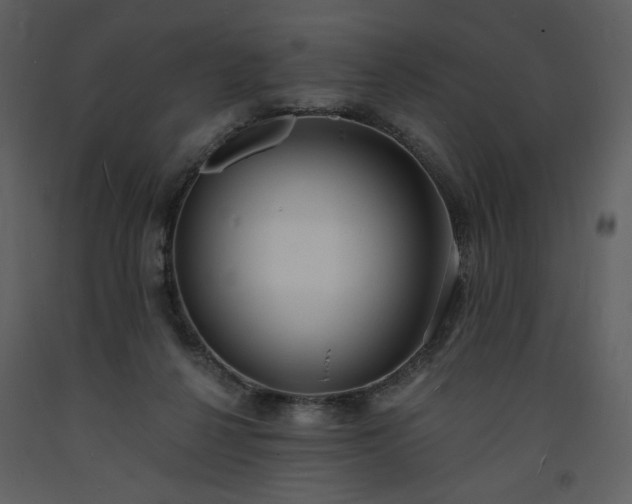 X0000093600264200710221553