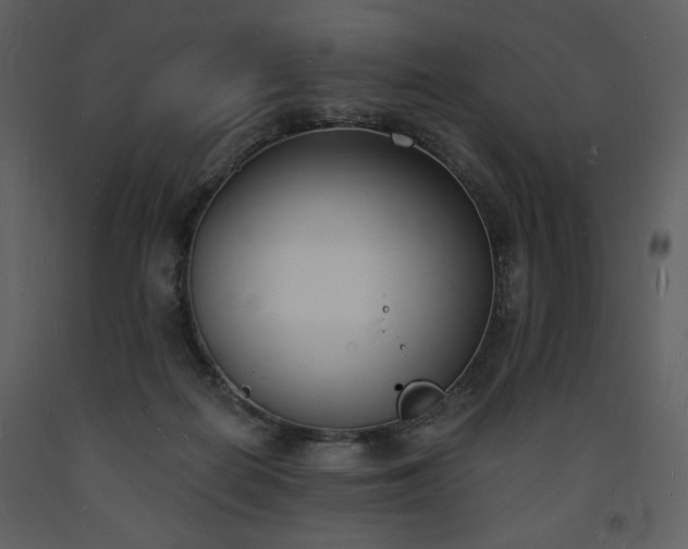 X0000093600266200710221553