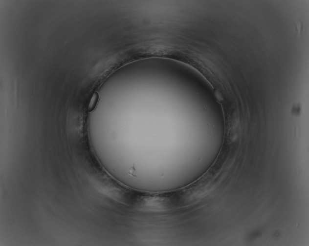 X0000093600268200710221553