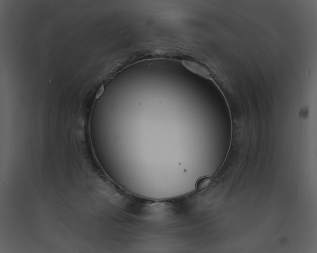 X0000093600269200710221553