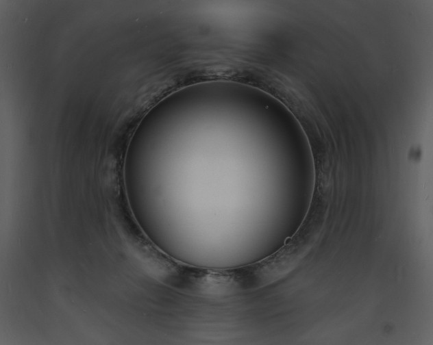 X0000093600270200710221553