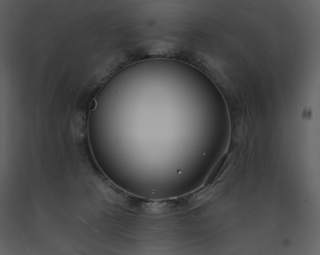 X0000093600273200710221553