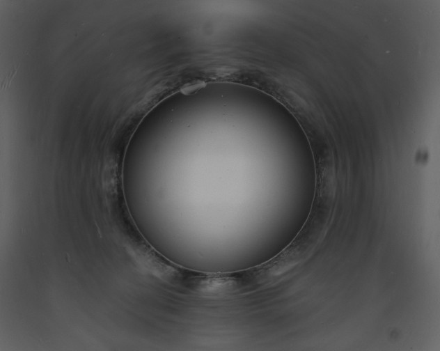 X0000093600274200710221553