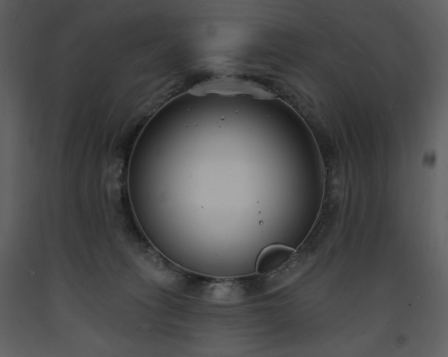 X0000093600275200710221553