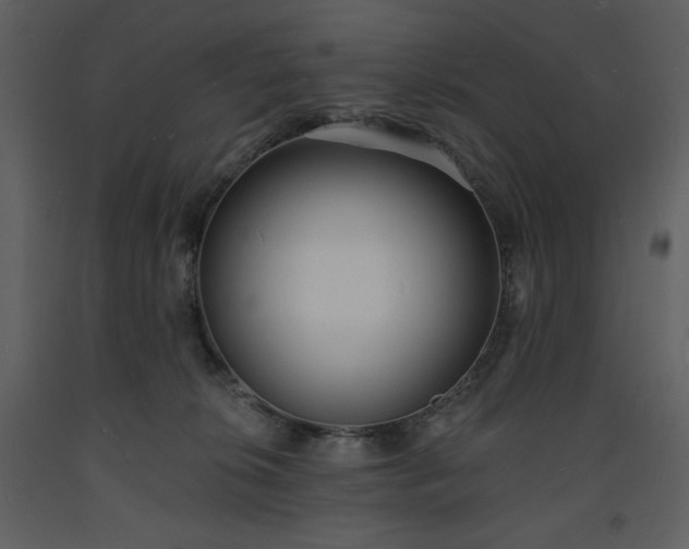 X0000093600276200710221553