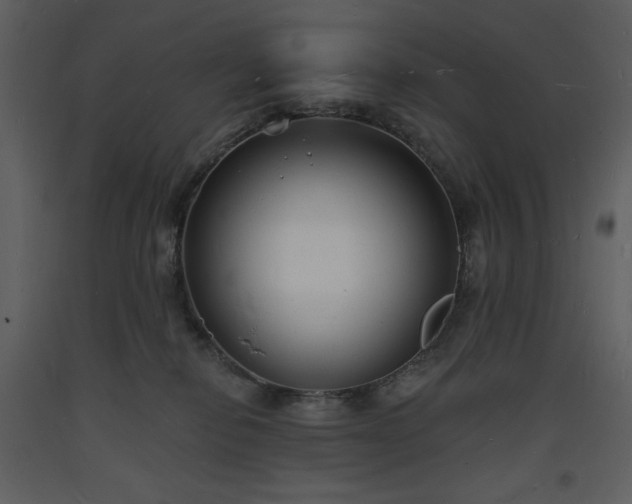 X0000093600278200710221553