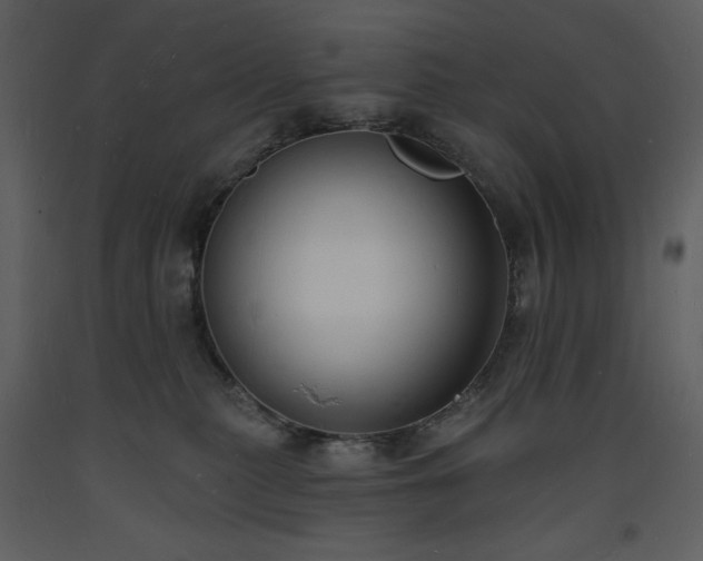 X0000093600279200710221553