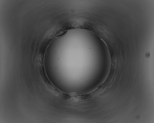 X0000093600280200710221553