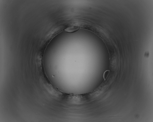 X0000093600282200710221553