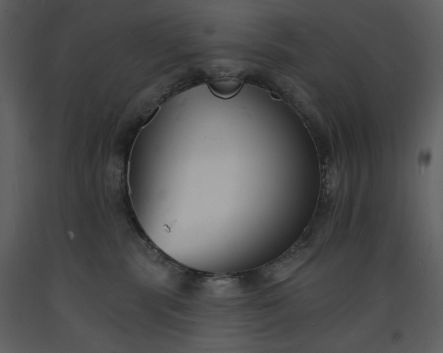 X0000093600283200710221553