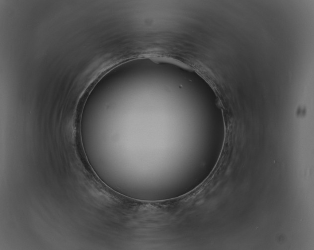 X0000093600290200710221553