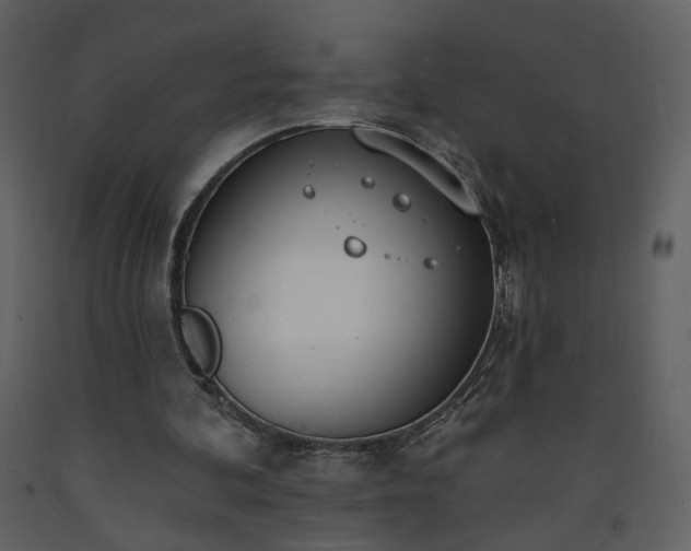 X0000093600292200710221553