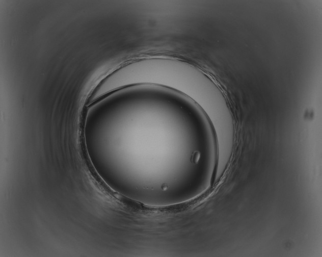 X0000093600293200710221553