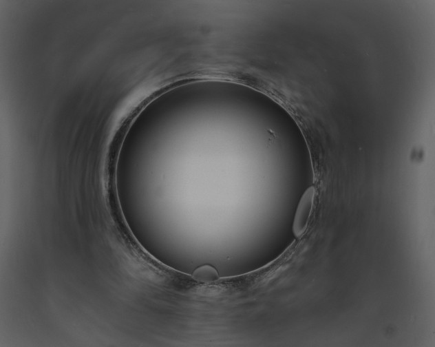 X0000093600294200710221553