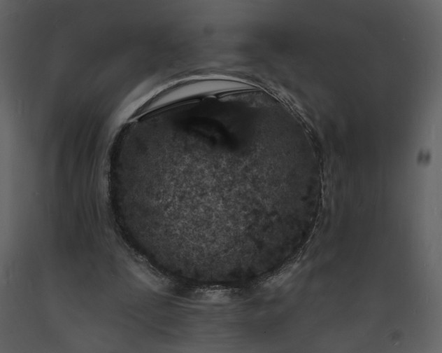 X0000093600295200710221553