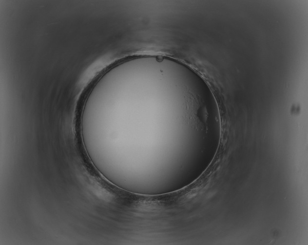 X0000093600296200710221553